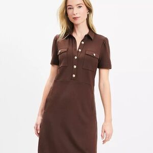 LOFT Chocolate Button-Front Dress